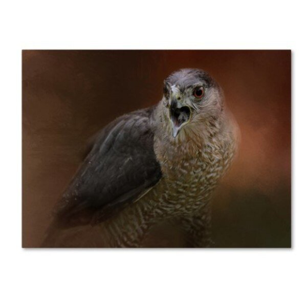 Jai Johnson 'Angry Sharp Shinned Hawk' Canvas Art, 24x32, Trademark Fine Art, Mfr#: ALI14433-C2432GG